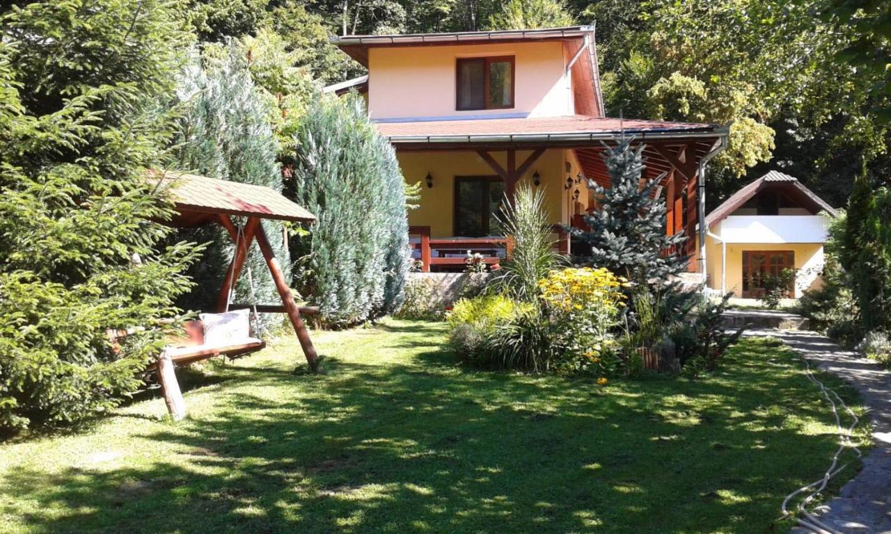 Treehouse Villa Padurea Neagra Екстериор снимка